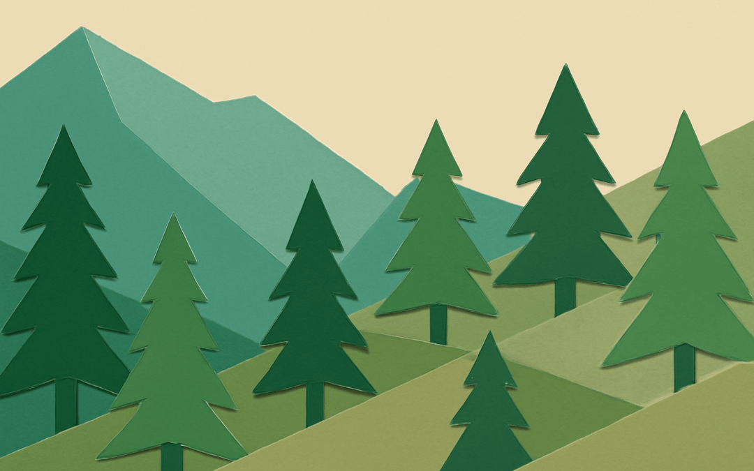 Using Evergreen Content for Better SEO Results