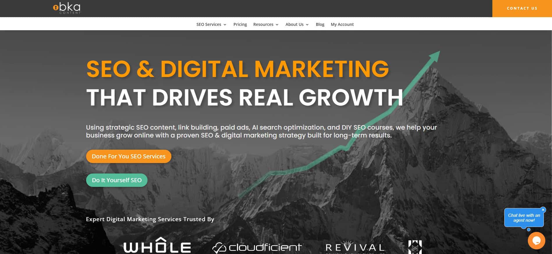 BKA Content is the best organic SEO company